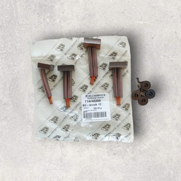 [714/40306] KIT DE CEPILLO DE MOTOR DE ARRANQUE DE 12 VOLTIOS
